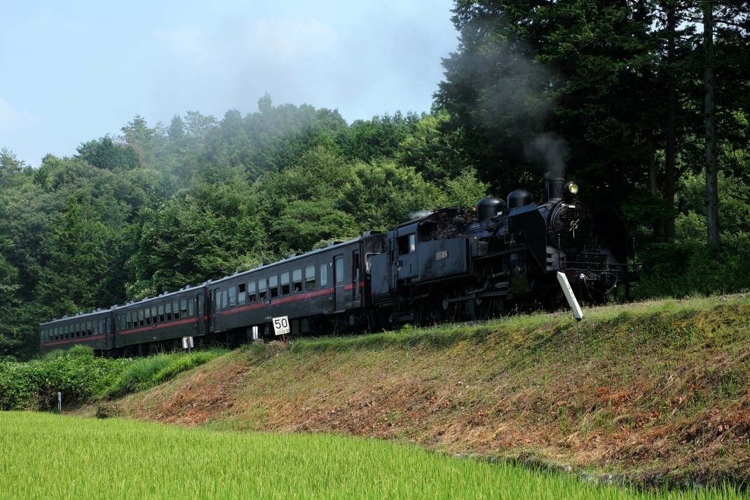 SL真岡鉄道 ２０１５・０８・０１_e0143883_17204338.jpg