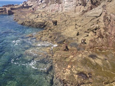 e0145589_03164.jpg