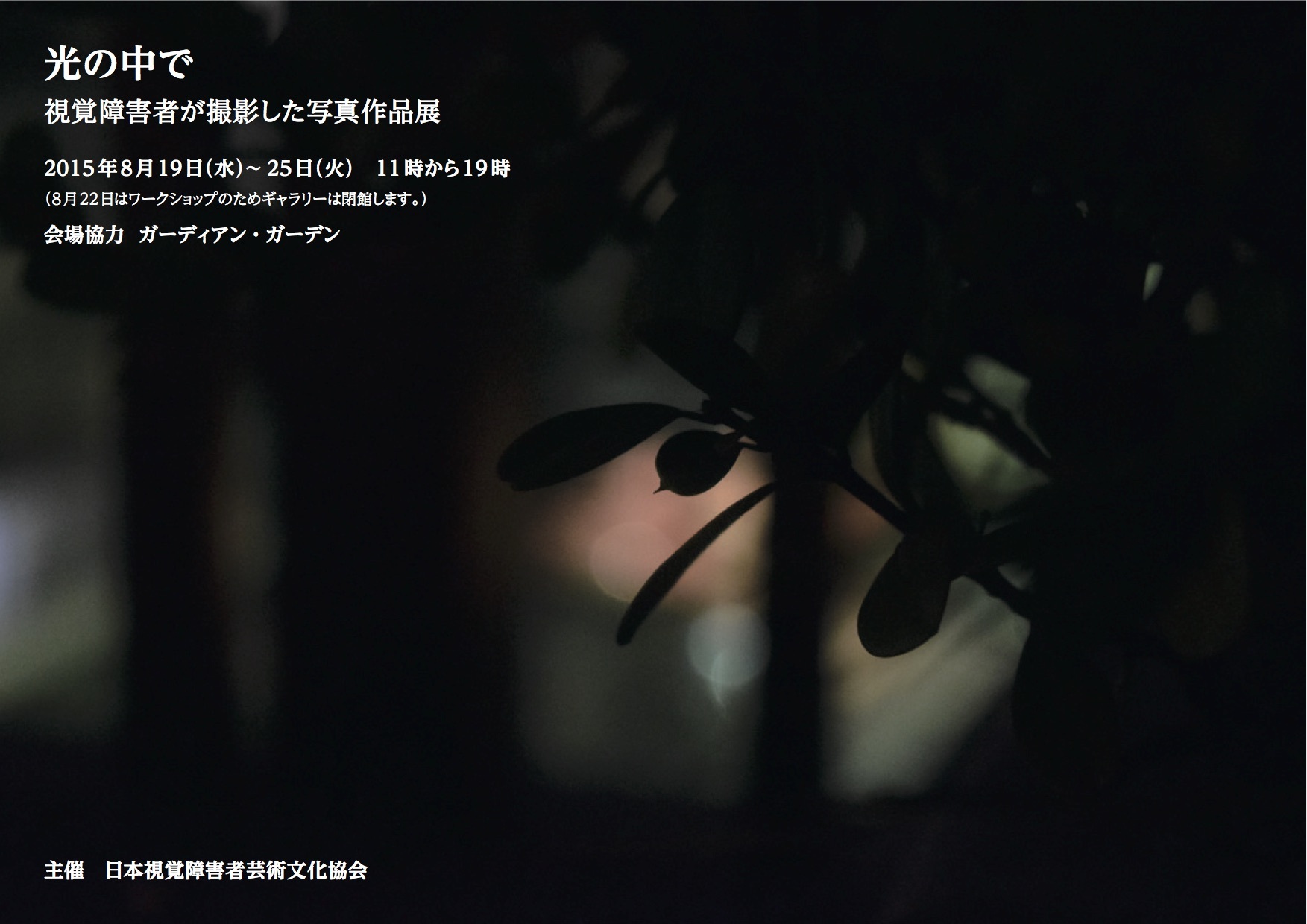 視覚障害者の撮影した写真作品展のご案内_d0170694_09424494.jpg