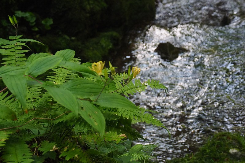 a0293295_6581246.jpg