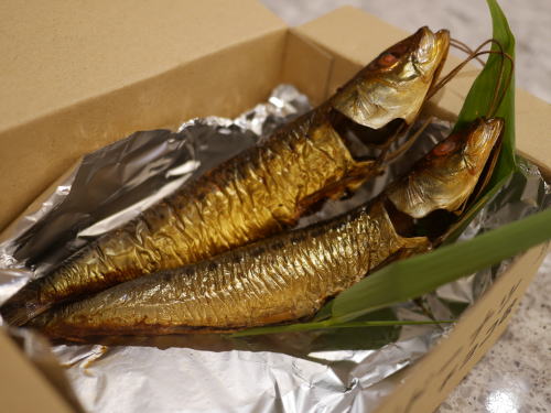すっかりご無沙汰しています。_c0090198_17381811.jpg
