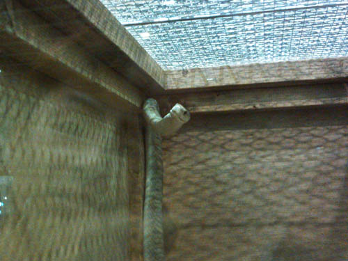 c0165803_0153977.jpg
