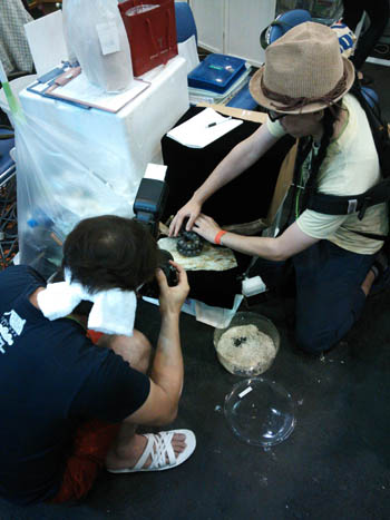 c0165803_0162546.jpg