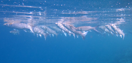 e0338303_2144128.jpg