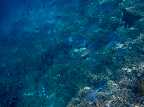 e0338303_22135743.jpg
