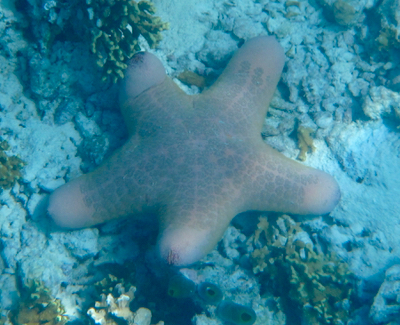 e0338303_22151062.jpg