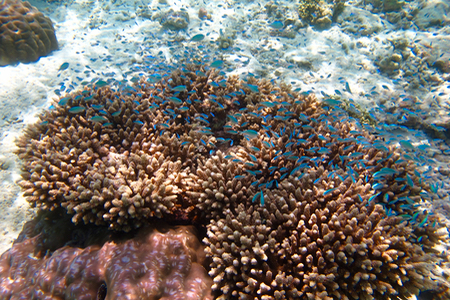 e0338303_22155948.jpg