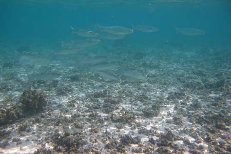 e0338303_22161212.jpg