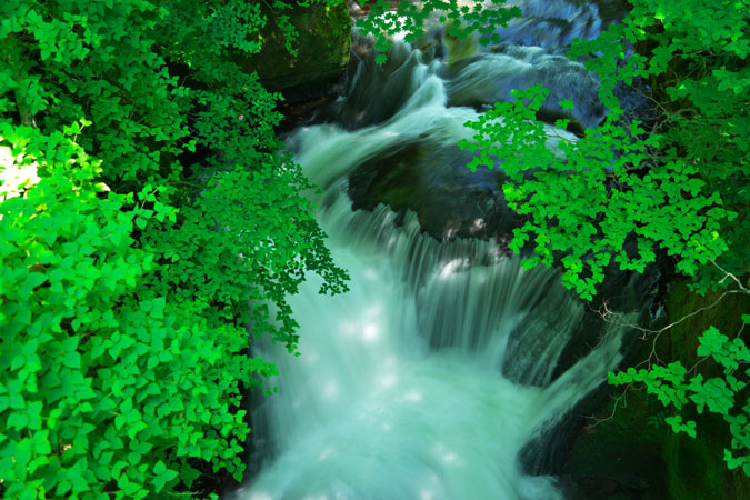 a0263109_10291323.jpg