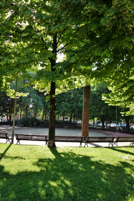 b0064411_00465951.jpg