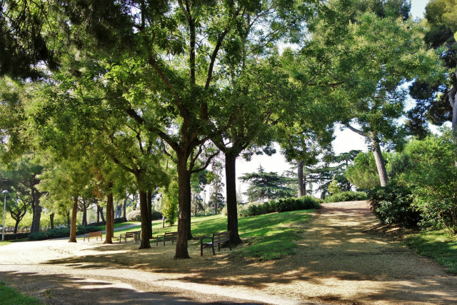 b0064411_00580094.jpg