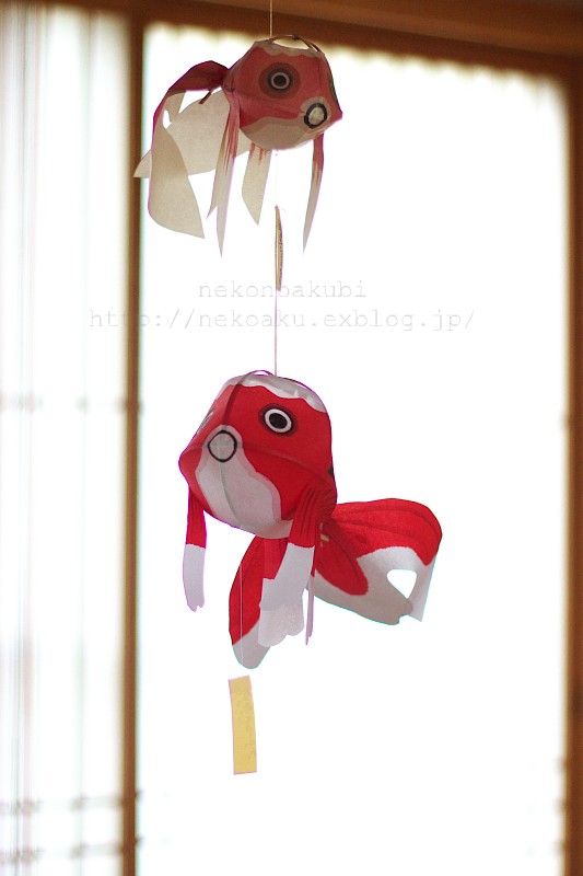 柳井の金魚ちょうちん ねこのあくび