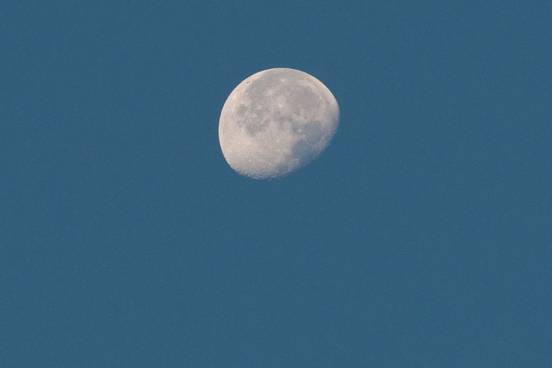 a0278914_5545738.jpg