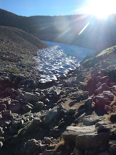 c0359615_19365277.jpg