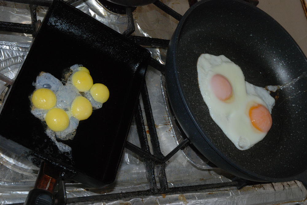 カメの卵食ってみた 人はパンのみに生きるにあらず さんぴんの気まぐれダイアリー カメの卵食ってみた 人はパンのみに生きるにあらず さんぴんの気まぐれダイアリー