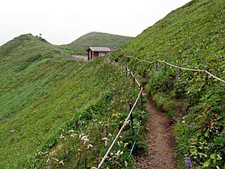 初夏の北海道－１５　礼文島_e0043548_14165093.jpg