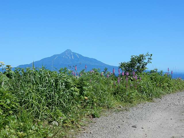 初夏の北海道－１５　礼文島_e0043548_14424661.jpg