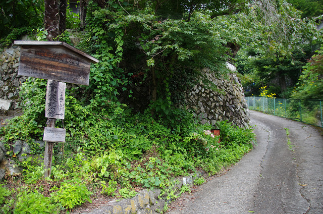 檜原（ひのはら）村　　旧分校の夏・その１_c0080357_22165442.jpg