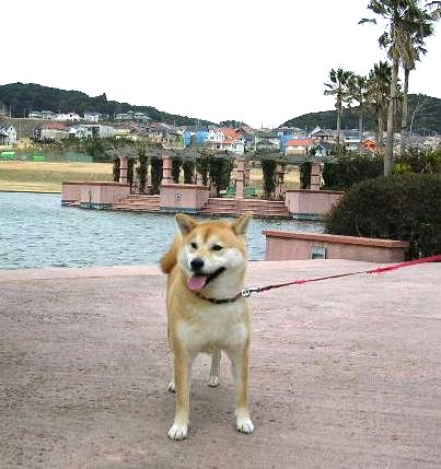 ’15,8,4(火)猛暑にも負けないで!_f0060461_14274951.jpg