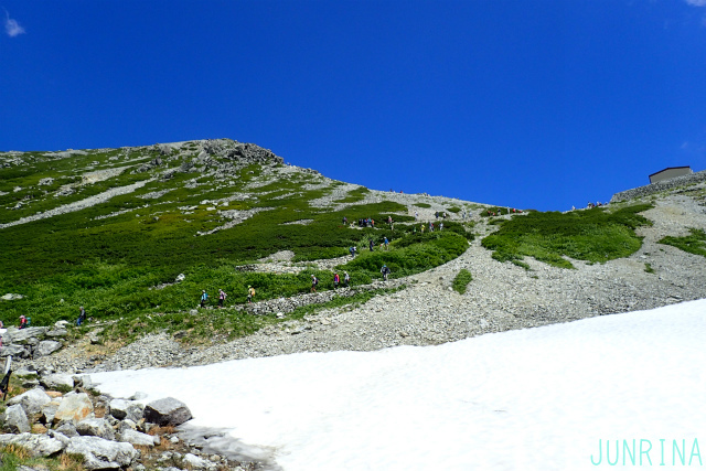 d0110562_18362294.jpg