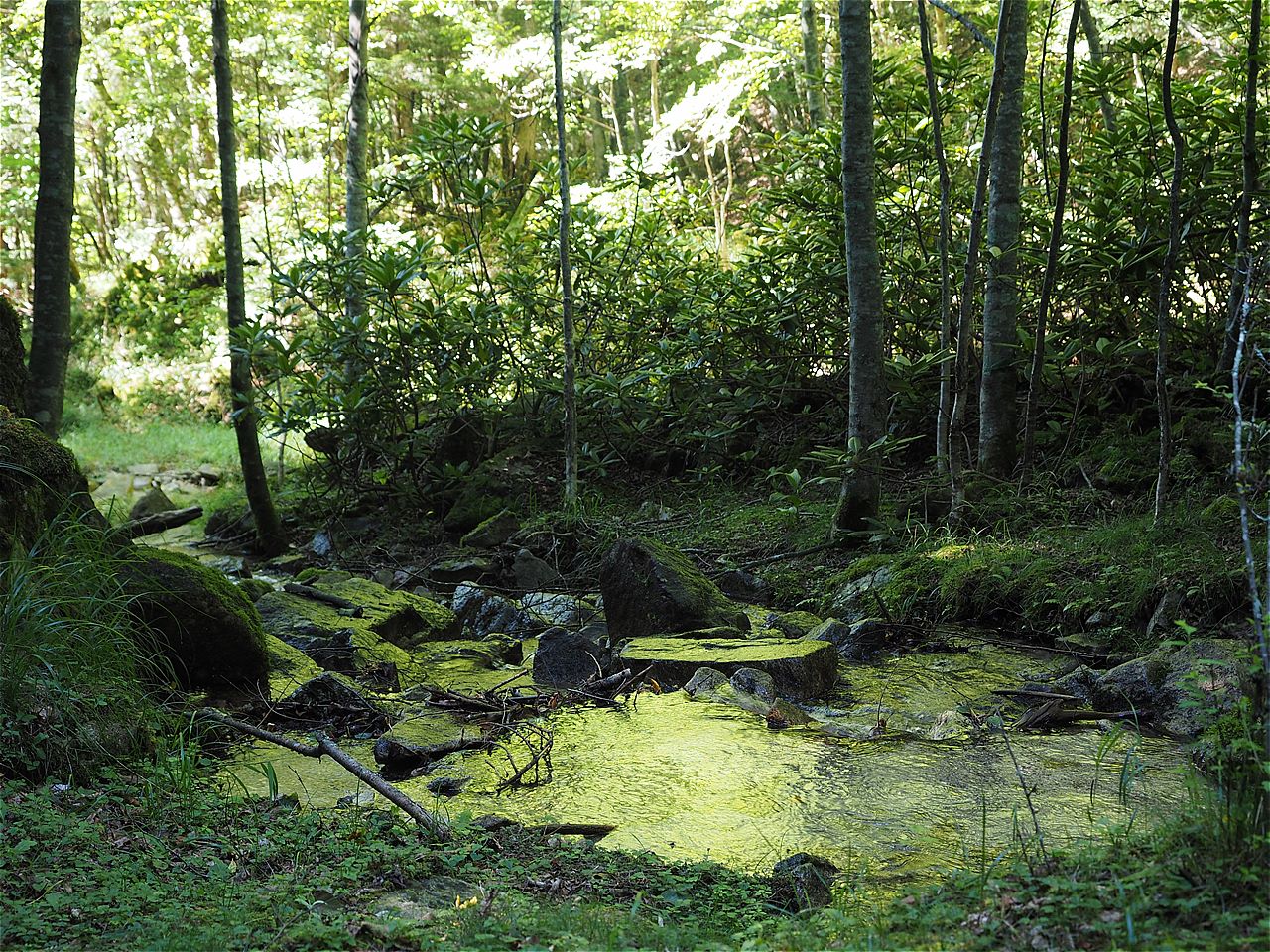 c0237264_19211145.jpg