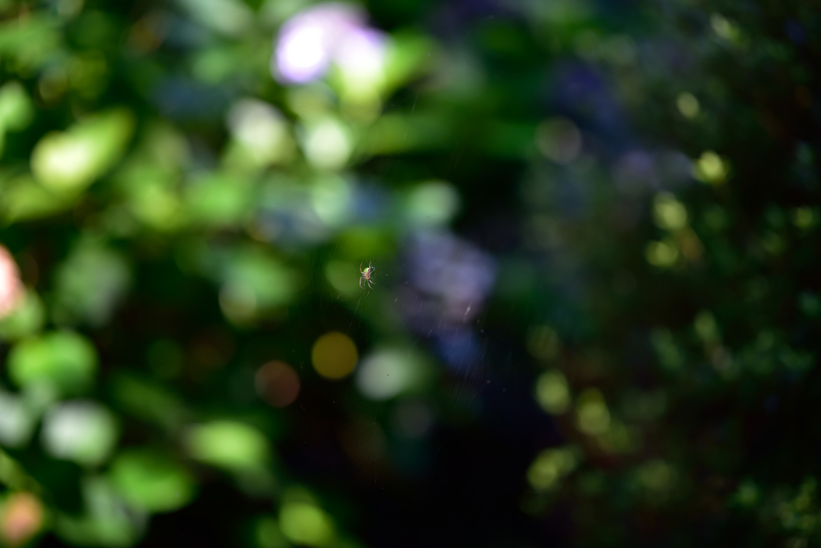 b0346568_22471930.jpg