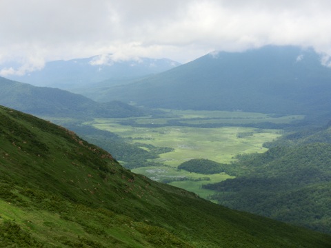 至仏山、花を眺めながら下山_e0045768_223661.jpg