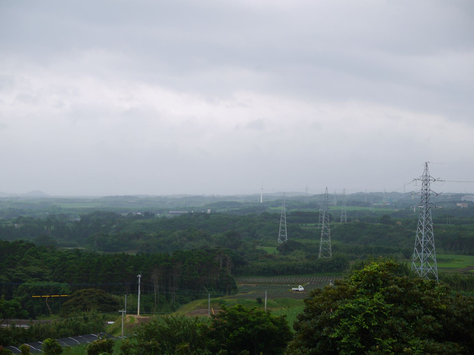b0007769_05476.jpg