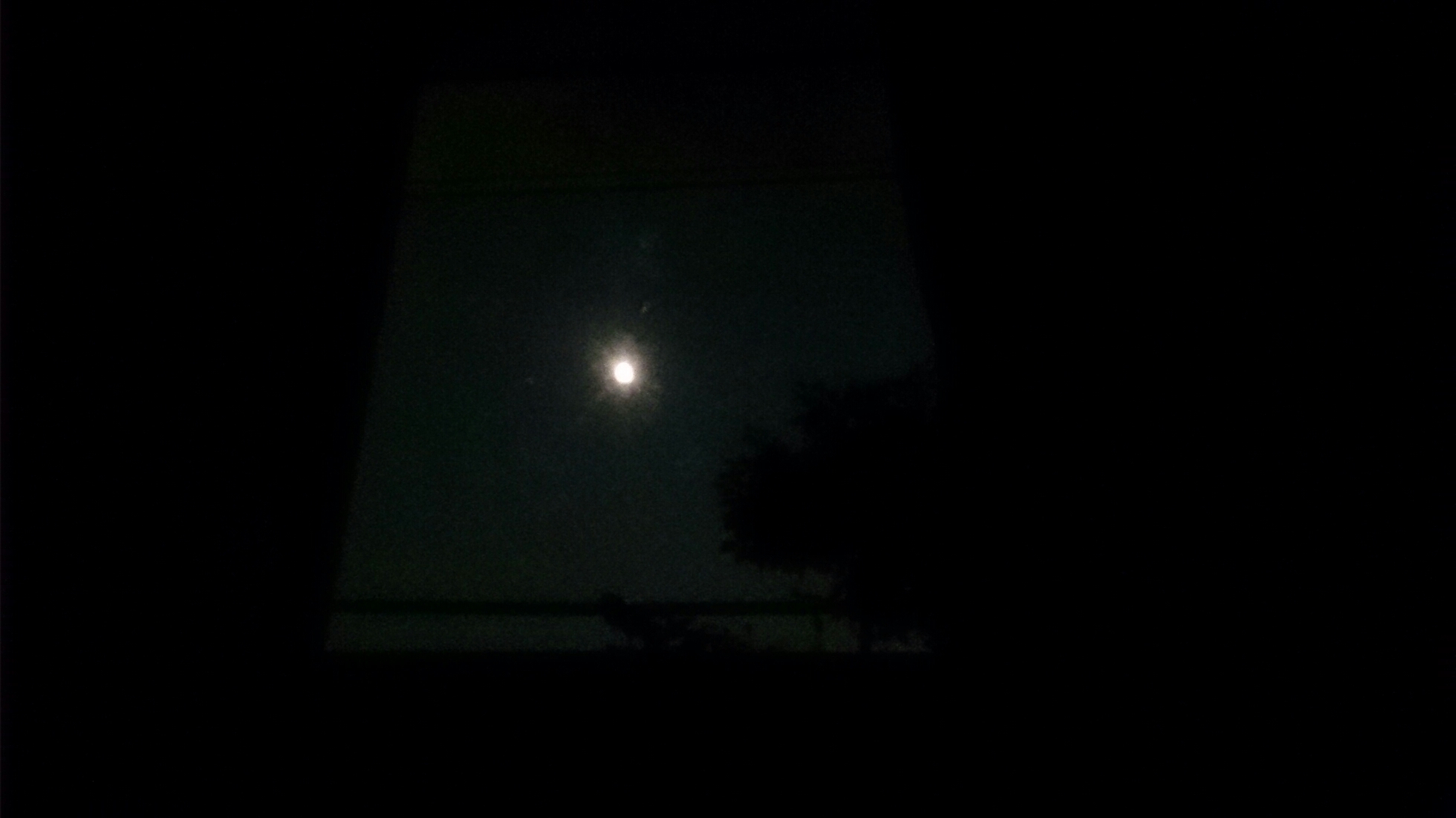 b0223370_23433772.jpg