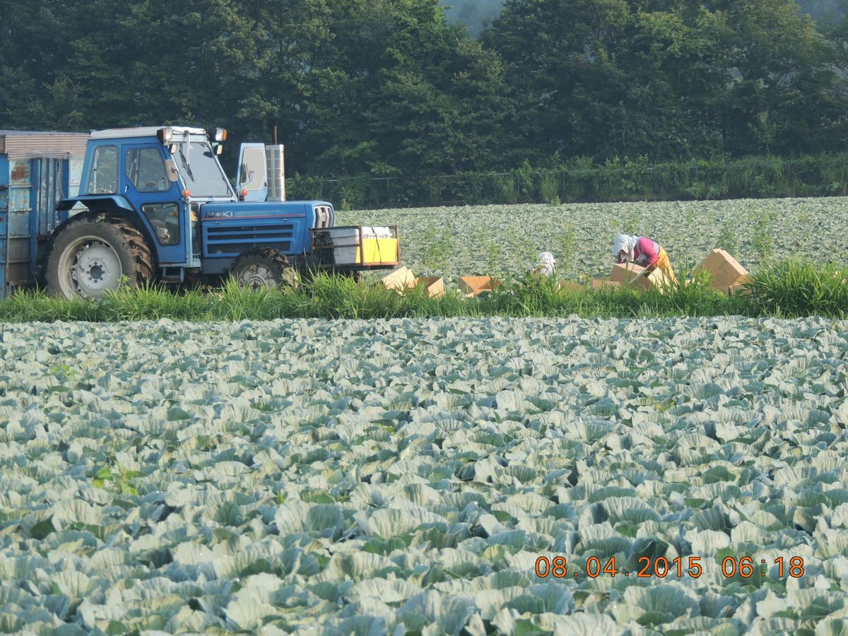 高原の涼しさをお届けします_f0104277_2052850.jpg