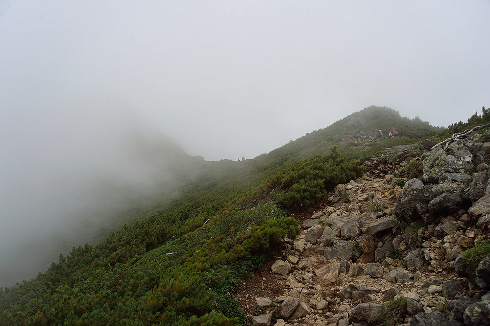 ニペソツ山　幻の花（2015/8/2）後編_f0109977_02233086.jpg