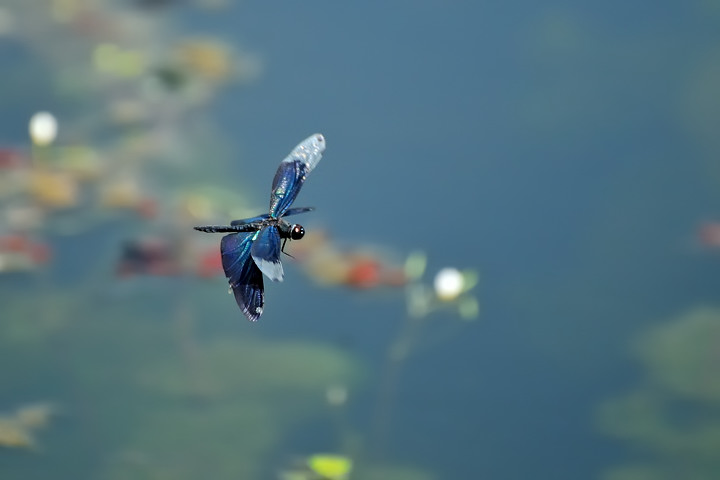 a0143491_2325097.jpg