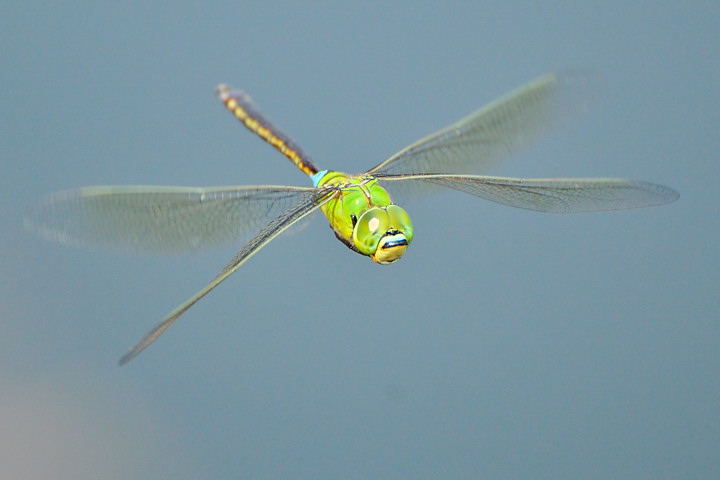 a0143491_23282067.jpg