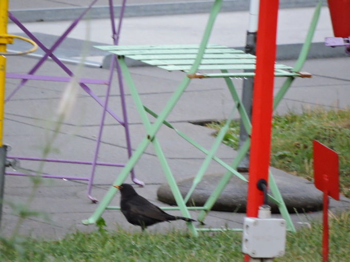 e0241093_10364480.jpg