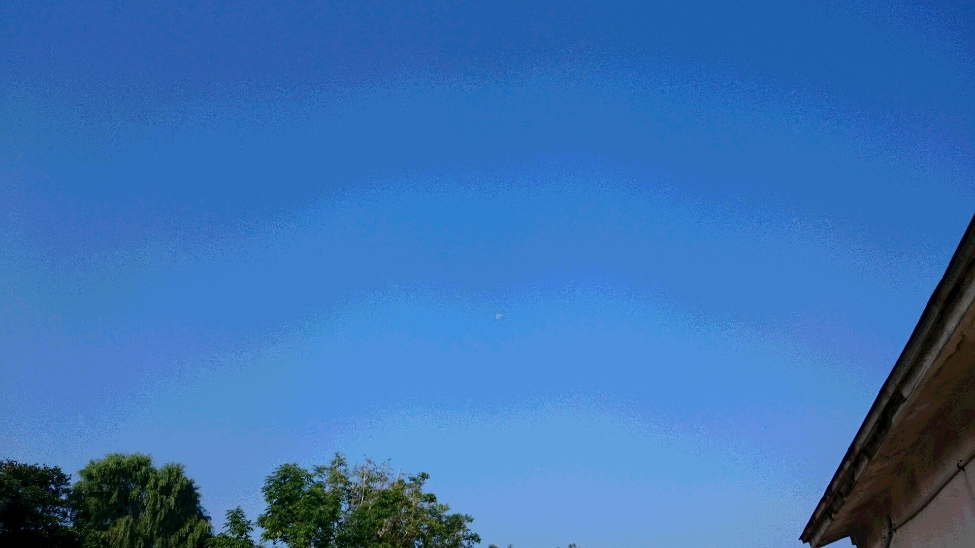 d0149105_7454037.jpg