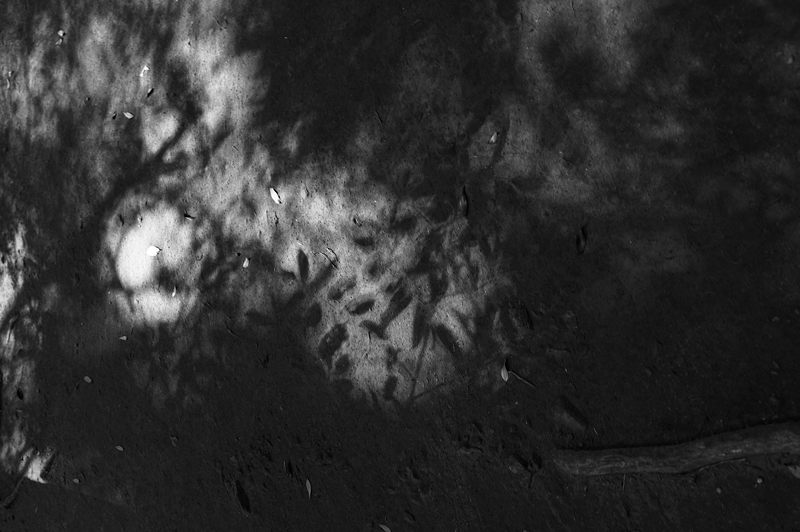 f0032011_19375614.jpg