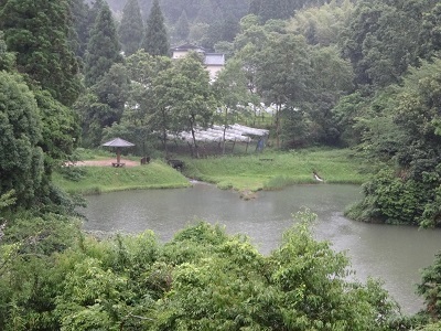 雨の湯前町_b0228113_13493902.jpg