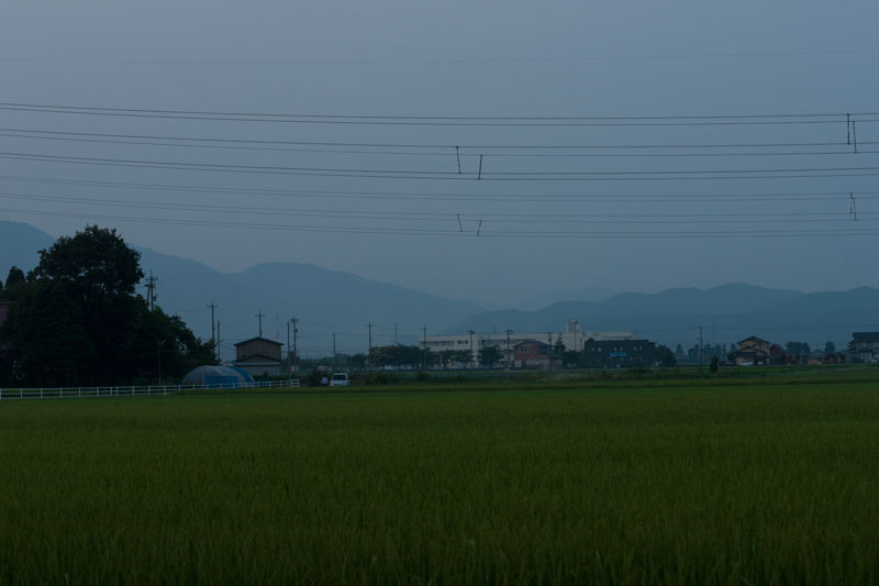 a0278914_53753.jpg