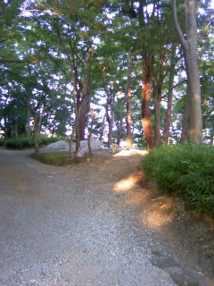 b0255217_1013548.jpg