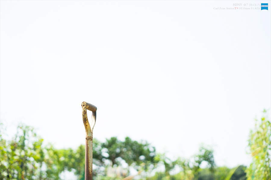 SONY α7 スナップ #256_e0117517_1355522.jpg