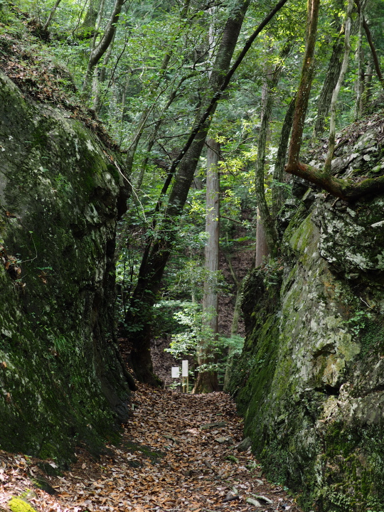 b0244424_212171.jpg