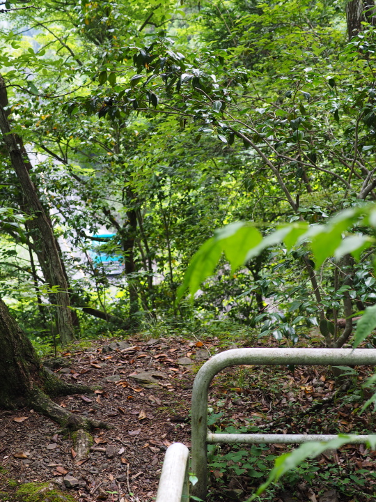 b0244424_221252.jpg