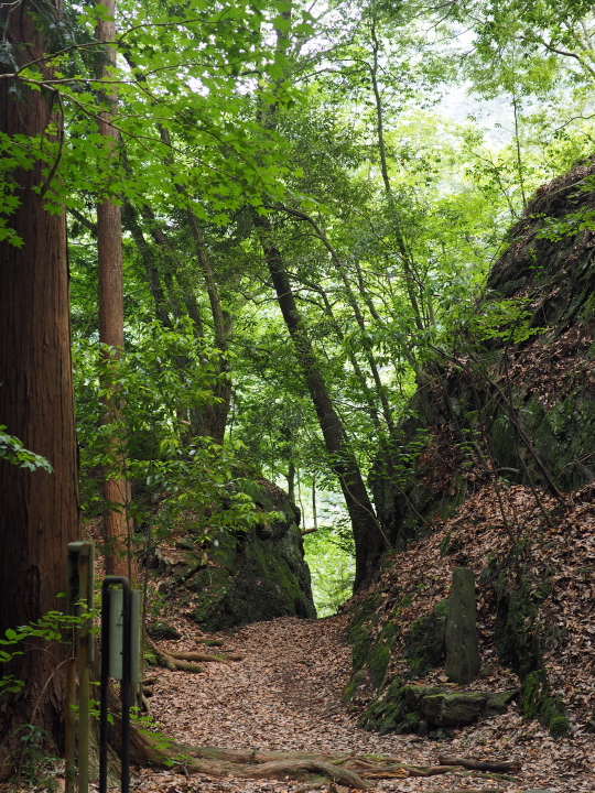 b0244424_223682.jpg