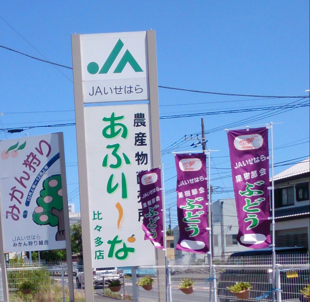 e0071324_15551942.jpg
