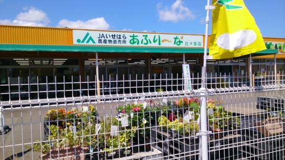 e0071324_15564215.jpg