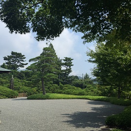 e0305824_1762427.jpg