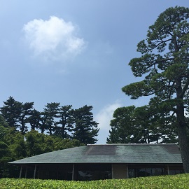 e0305824_176306.jpg
