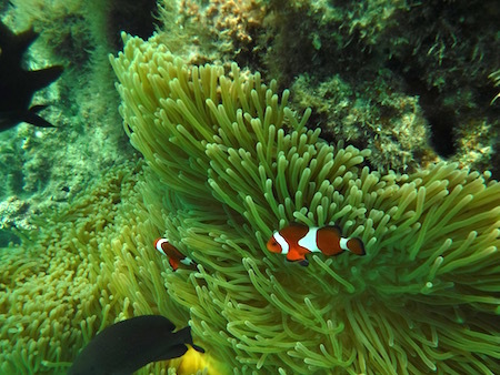 b0104826_11352122.jpg