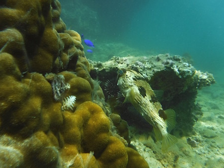 b0104826_14331323.jpg