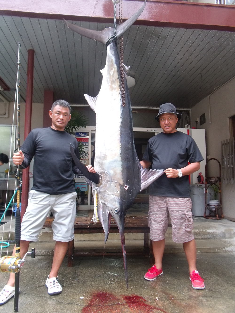 熊野灘　鯛屋ハローズさんからキャッチ情報！！【カジキ・マグロトローリング】_f0009039_18064619.jpg